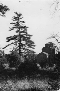 Friedsam Memorial Library